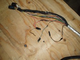 harness 003.JPG